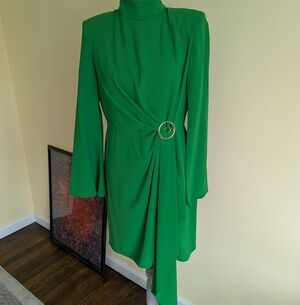 NWT Jewel 💚 Long Sleeve Dress with Gold Ring Detail Sz 40